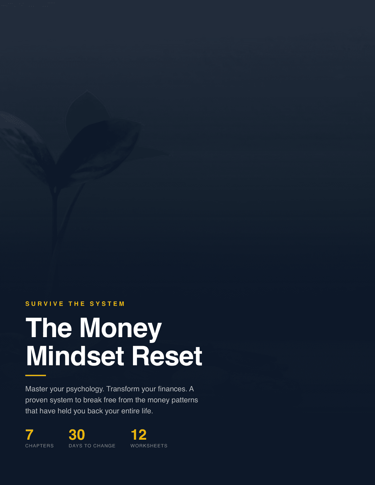 The Money Mindset Reset Front Cover